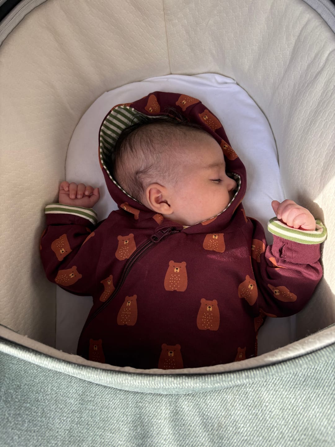 Customer photo review of Brown Bears Hooded Reversible Snug Suit