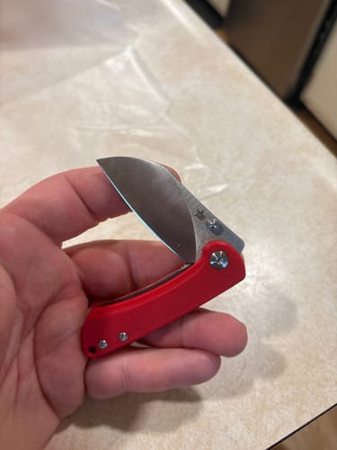 Customer photo review of Titanium Pocket Knife