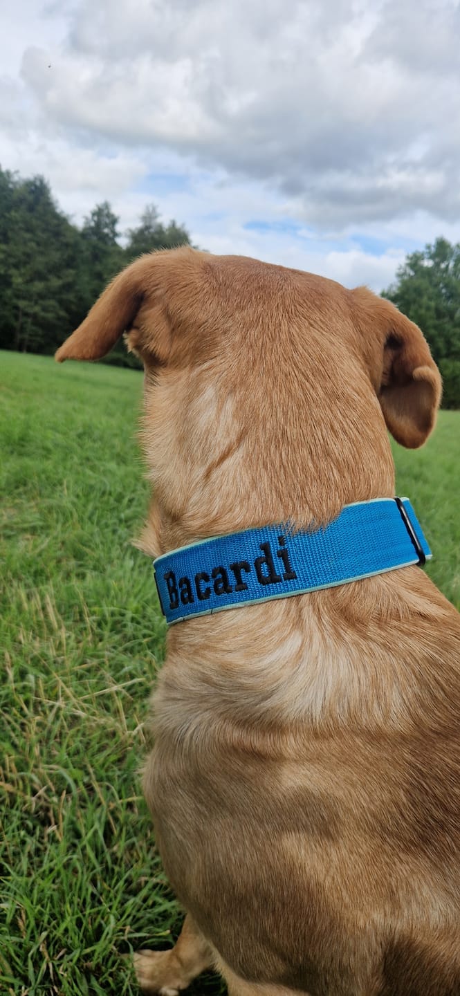 Customer photo review of Martingale halsband med namn