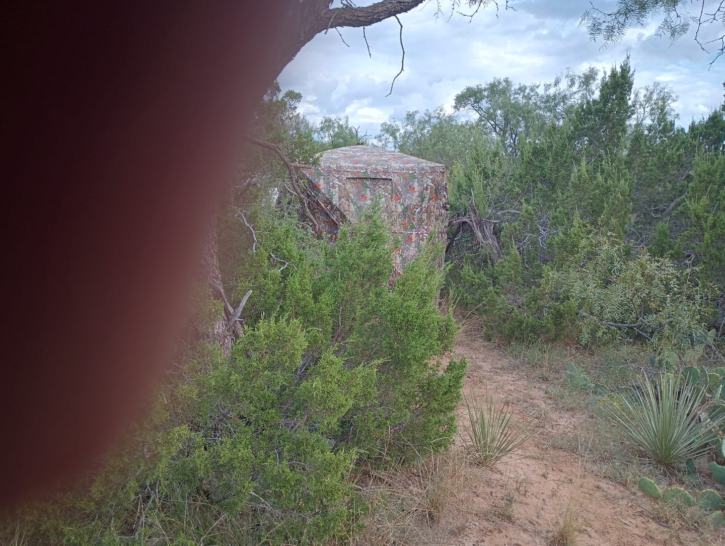 Customer photo review of Tidewe VisST Pop-Up Ground Blinds with See-Through (Silent Magnetic Door)