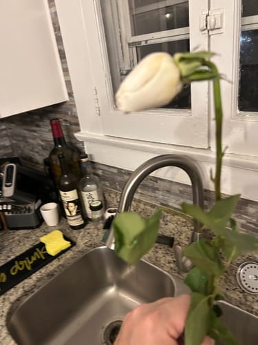 Customer photo review of Sandstone Rose Bouquet