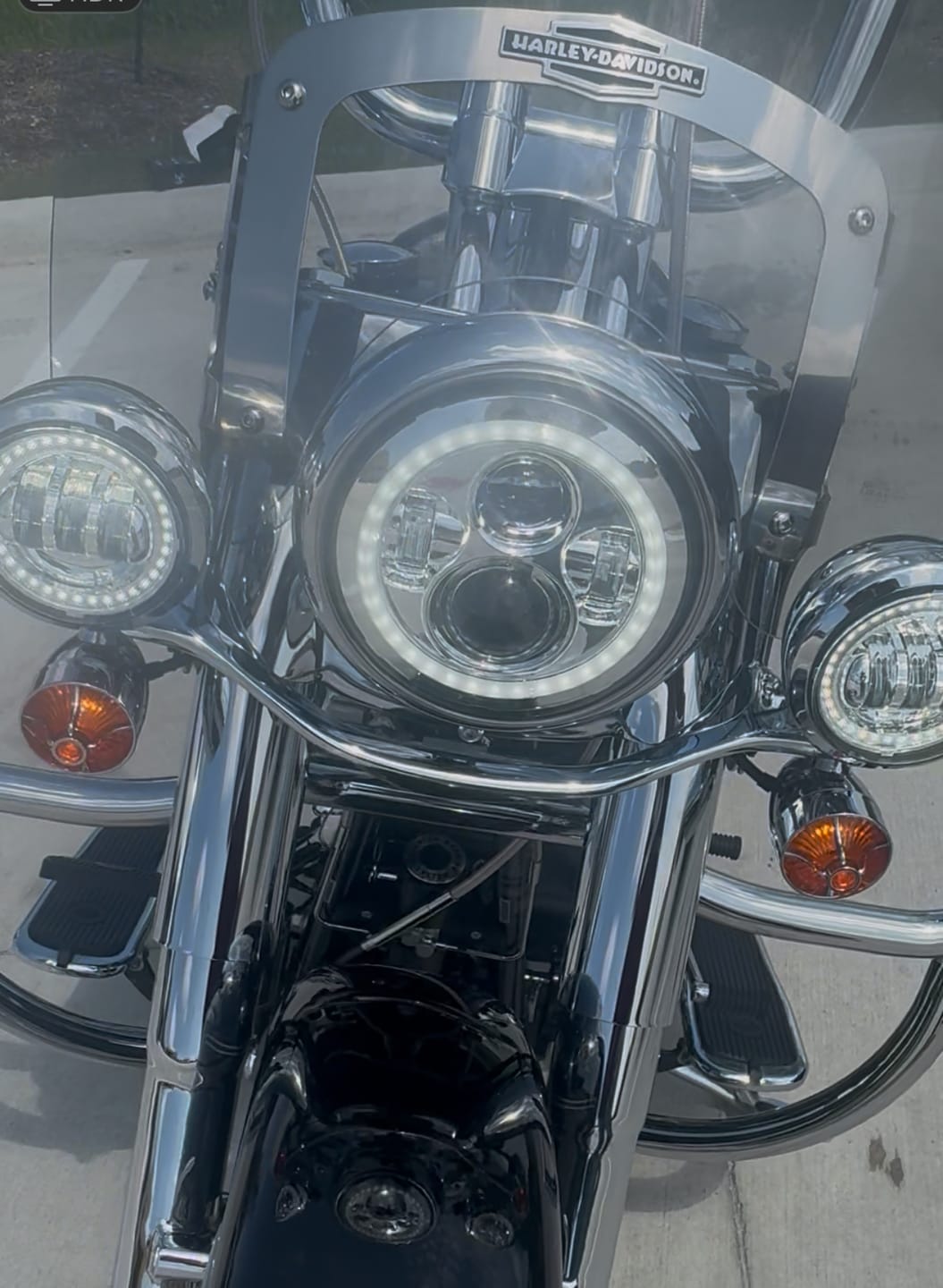 Customer photo review of Harley Davidson Turn Signal Lenses - Clip in Style