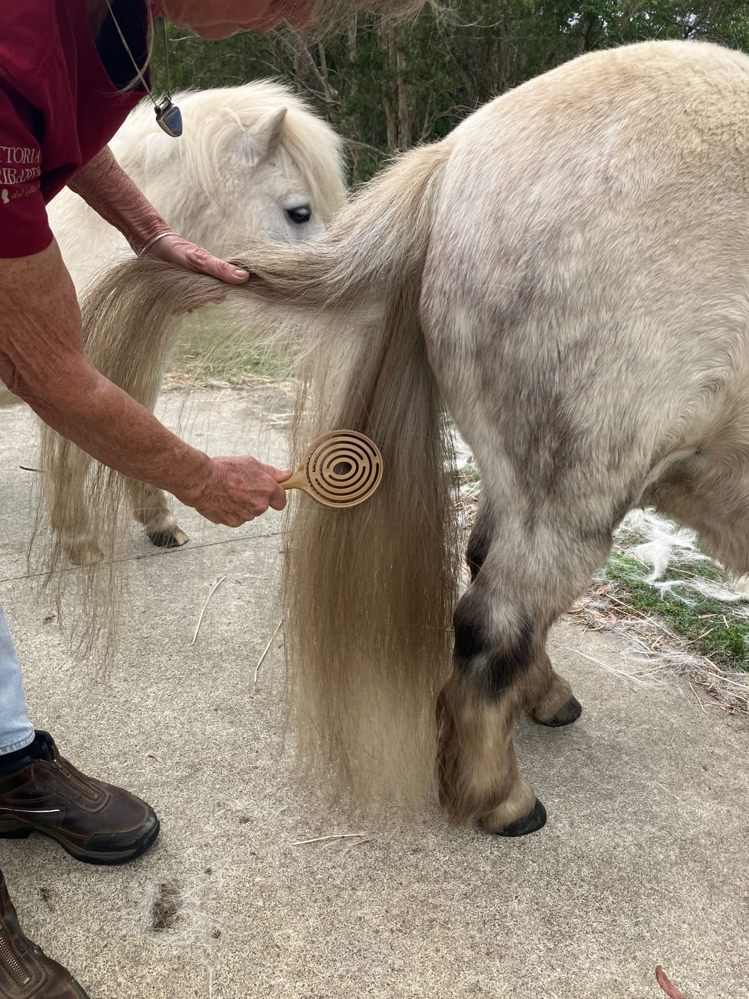 Customer photo review of Queen's Brush - Royal Mane & Tail Brush
