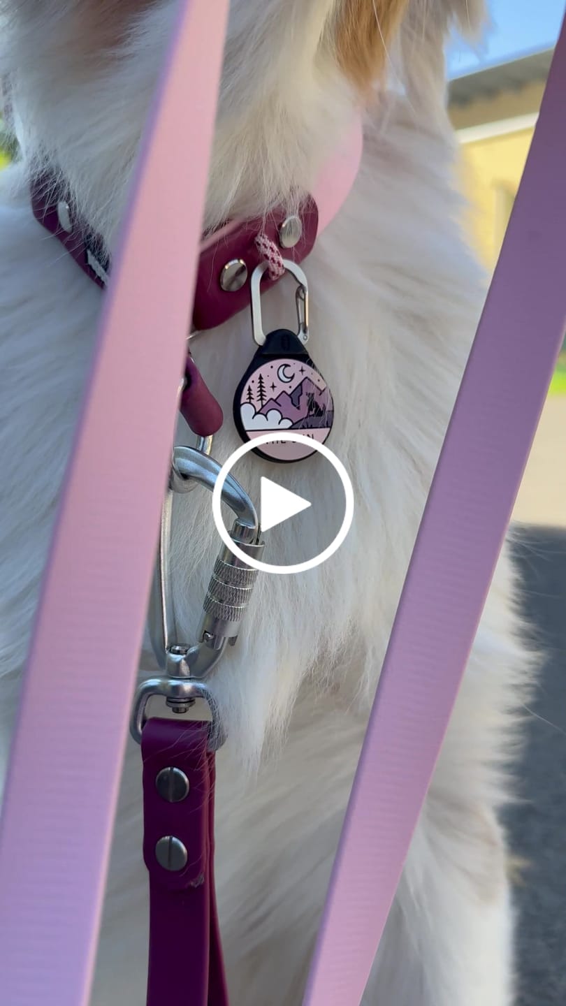 Customer video review of The Multi QuickLead™ - Dog Leash