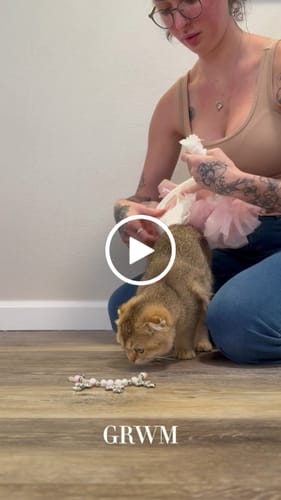 Customer video review of Love, Nala Gift Card