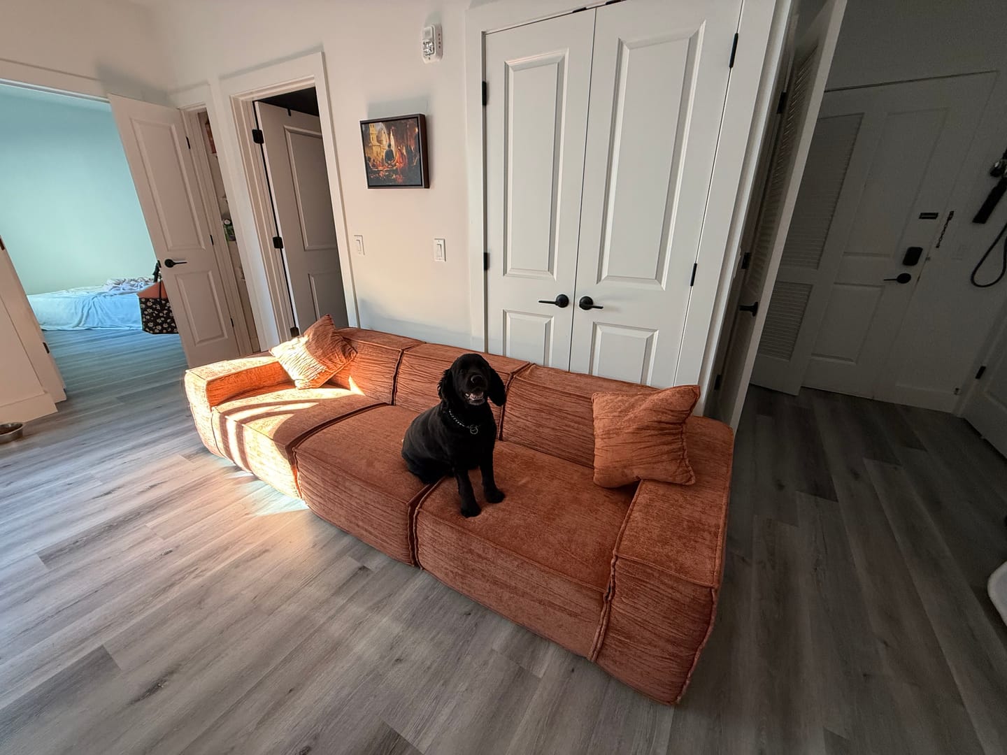 Customer photo review of M1 Sofa Three Seater