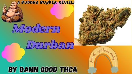 Customer photo review of Modern Durban