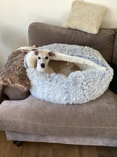 Customer photo review of Super Plush Cove Bed