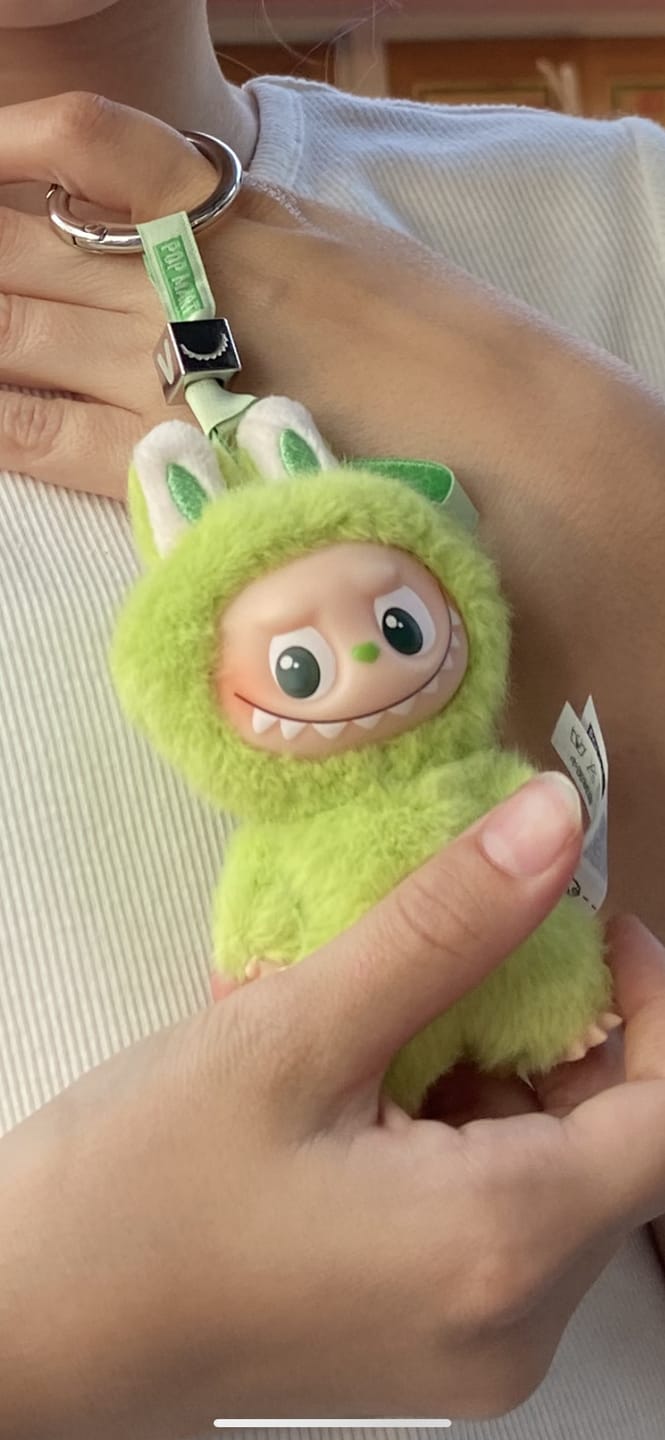 Customer photo review of Pop Mart The Monsters Labubu Pin for Love Series-Vinyl Plush Pendant Blind Box
