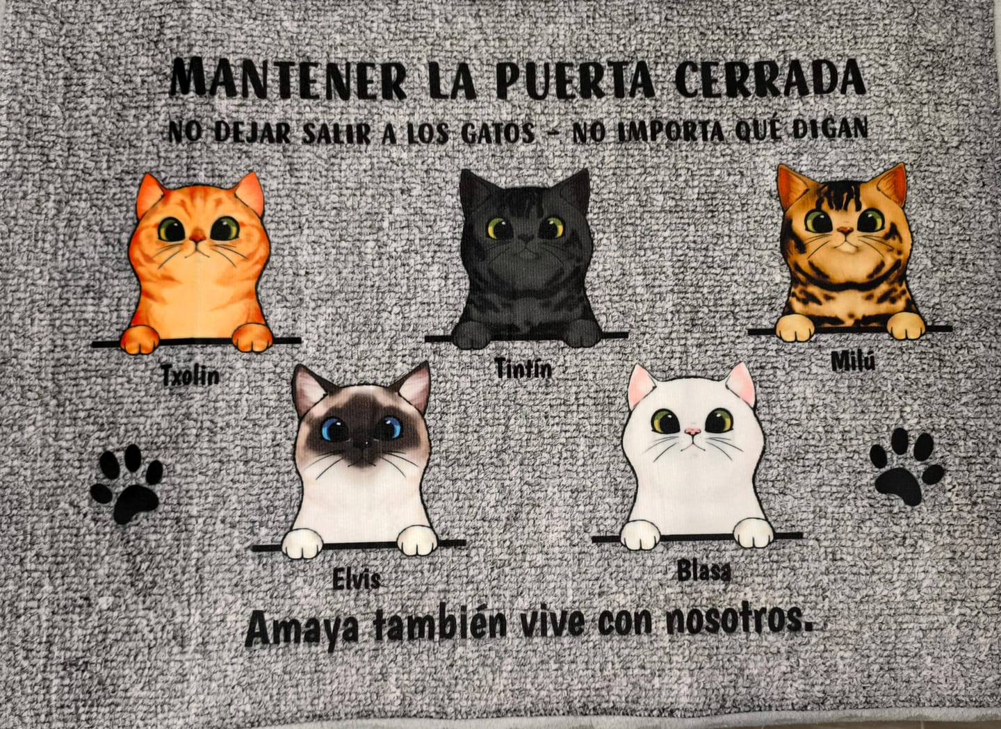 Customer photo review of Bienvenidos a lo de gatos curiosos - Felpudo personalizado