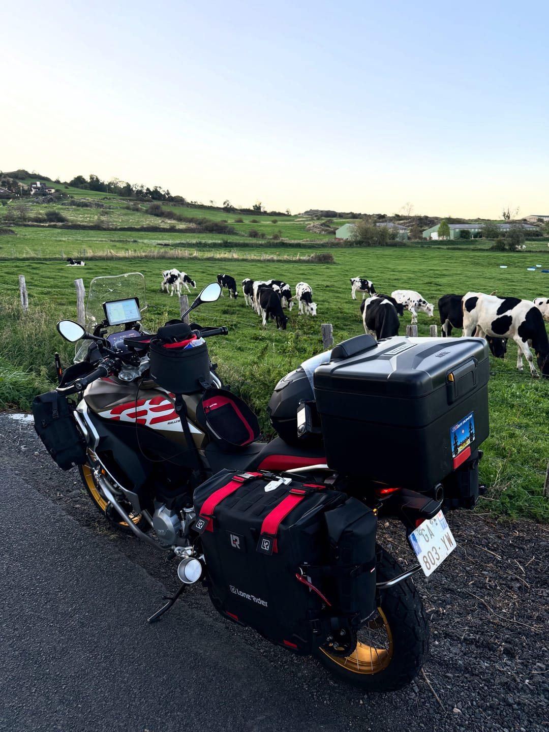 Customer photo review of Color Straps for MotoBags