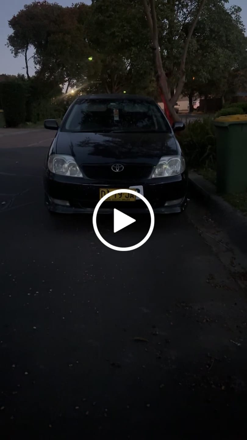 Customer video review of Spectrum T10 Globes