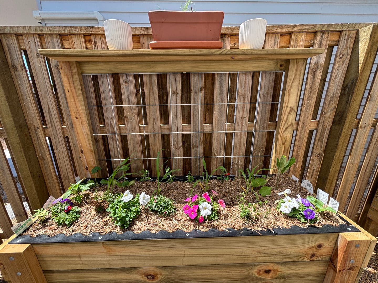 Customer photo review of LARGE Raised Garden Bed with Trellis & Pot Shelf - Timber 157x60x80cm(h)