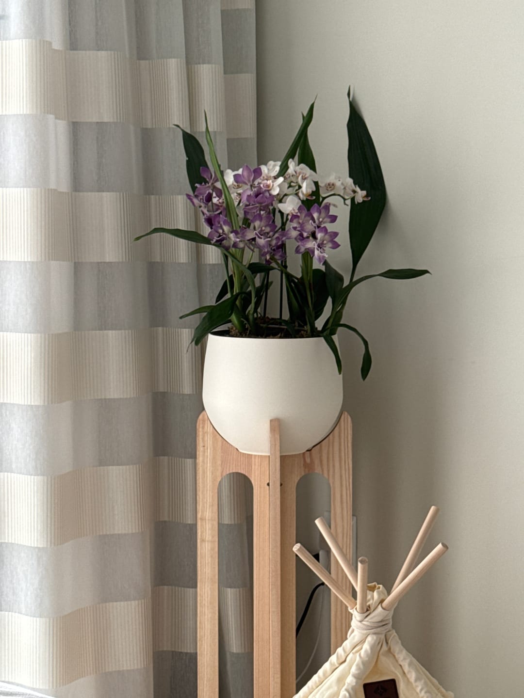 Customer photo review of Arches Plant Stand + Pot