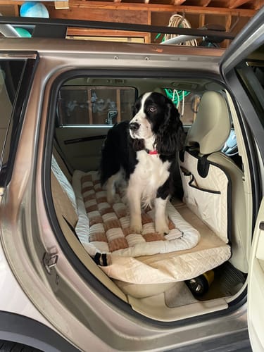 Customer photo review of NEW Waterproof Hard Bottom Car & Truck Seat Foldable Hammock Cover With Storage Pockets, Side Flaps, Headrest Straps, Seat Anchors, & Mesh Window (+FREE SAFETY BELT!)