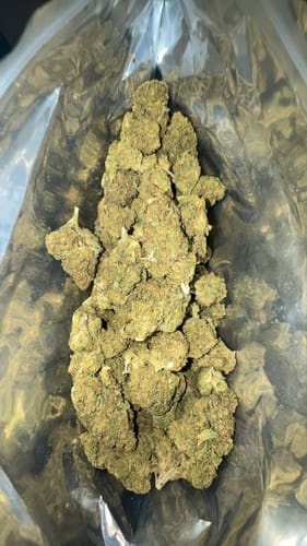 Customer photo review of Cheap THCA Flower Half Pound