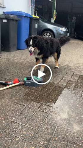 Customer video review of Wurmtest Plus Hund