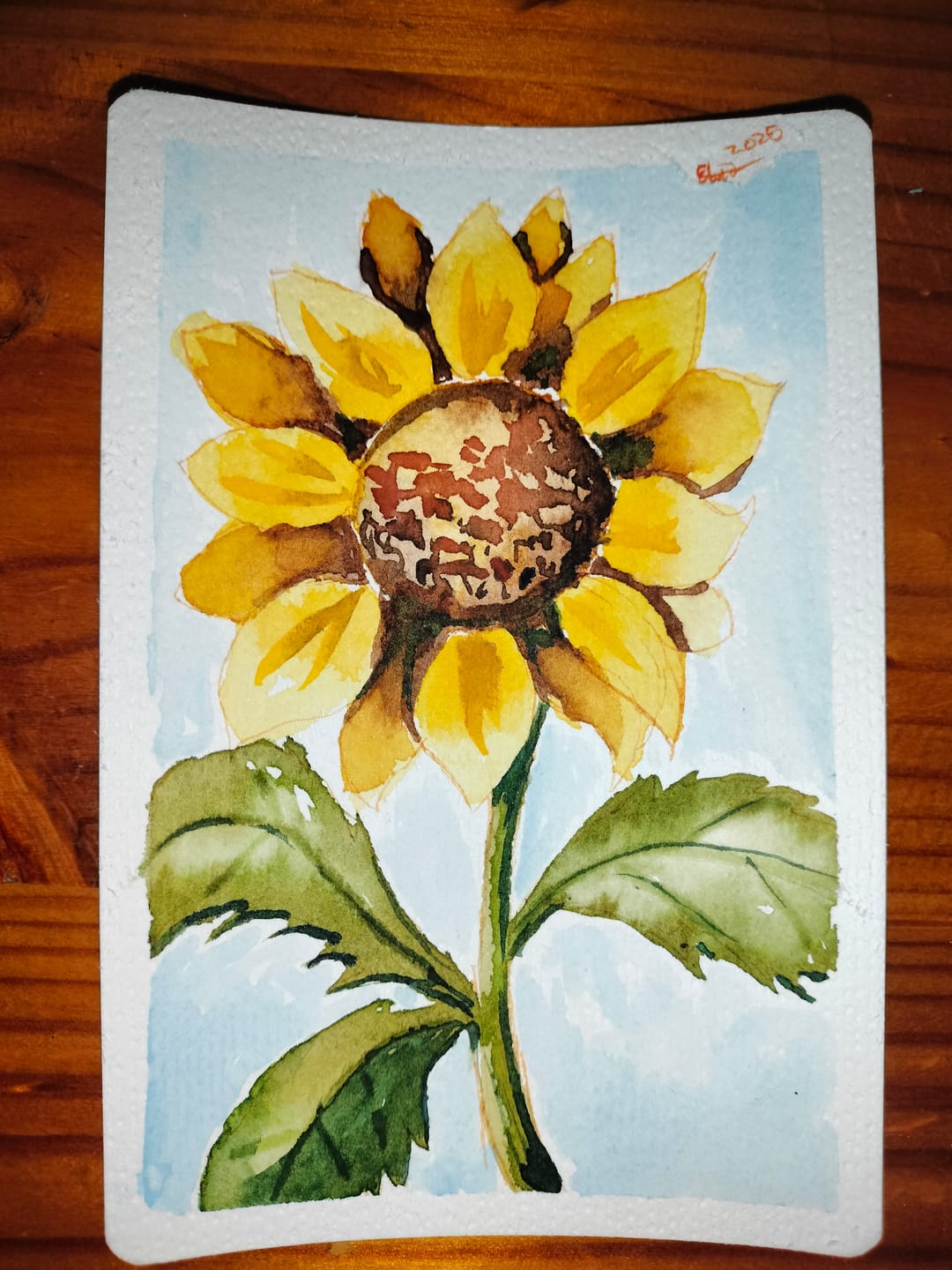 Customer photo review of Ohuhu Colored Fineliner & Brush Pens, 12 Colors
