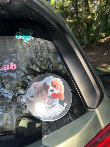 Customer photo review of Your photo -  Personalized Car Sticker