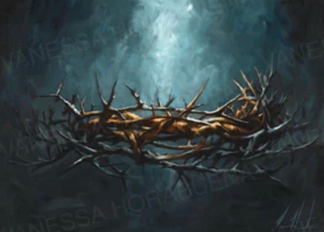 Customer photo review of Crown of Thorns