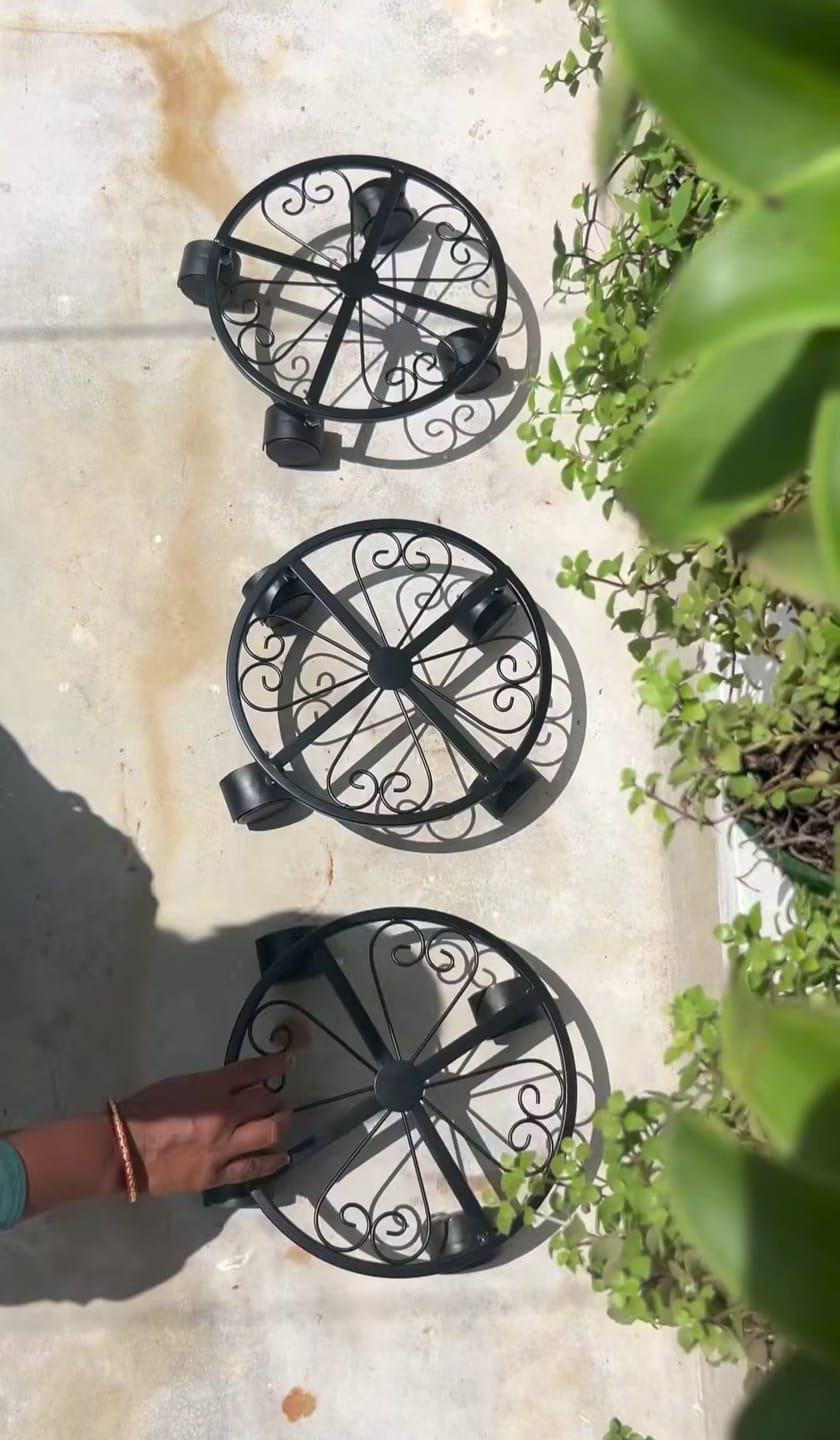 Customer photo review of TryGreen Luna Wheel Rolling Plant Stand for Planters