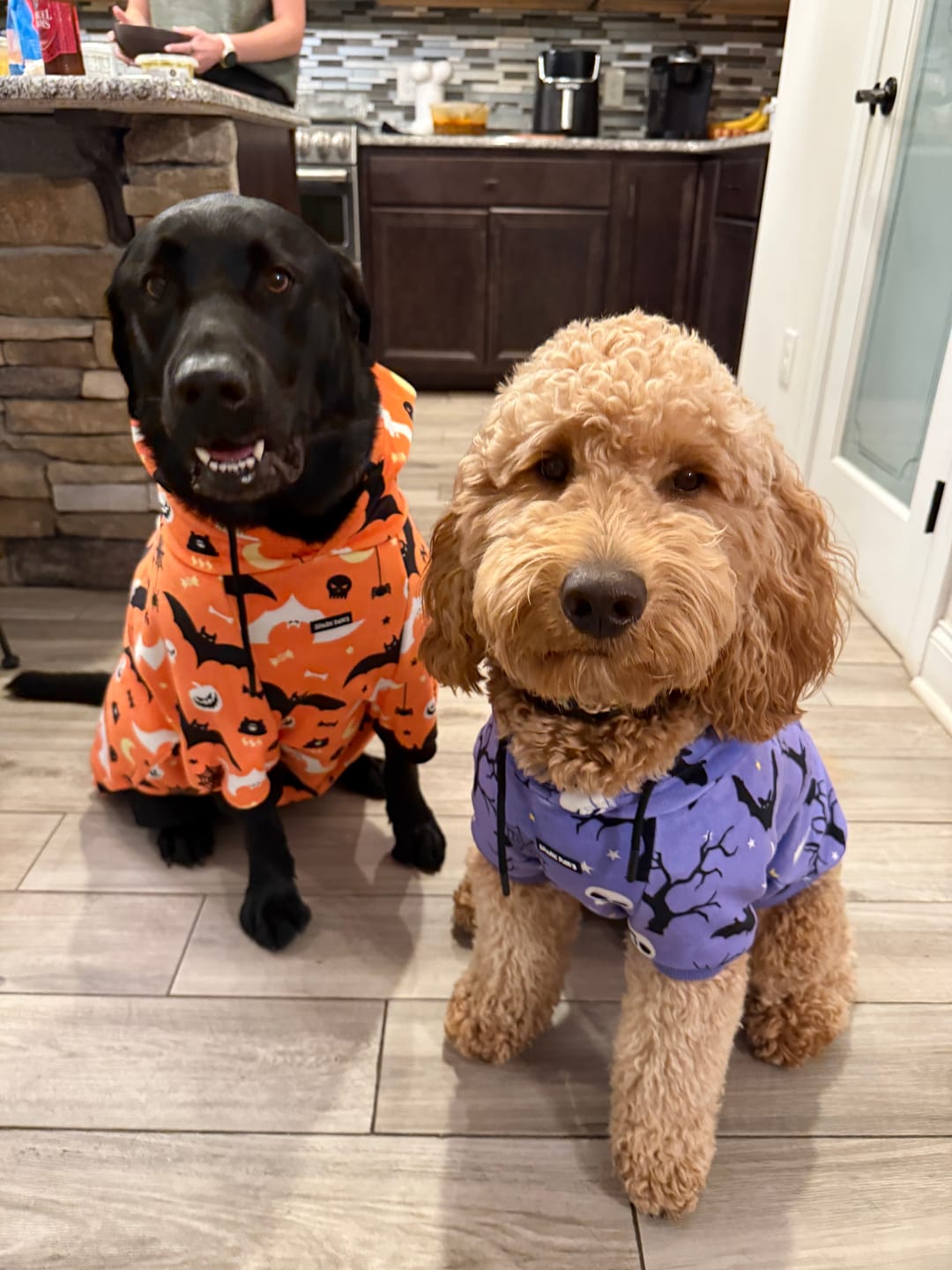Customer photo review of Halloween Dog Hoodie - Orange
