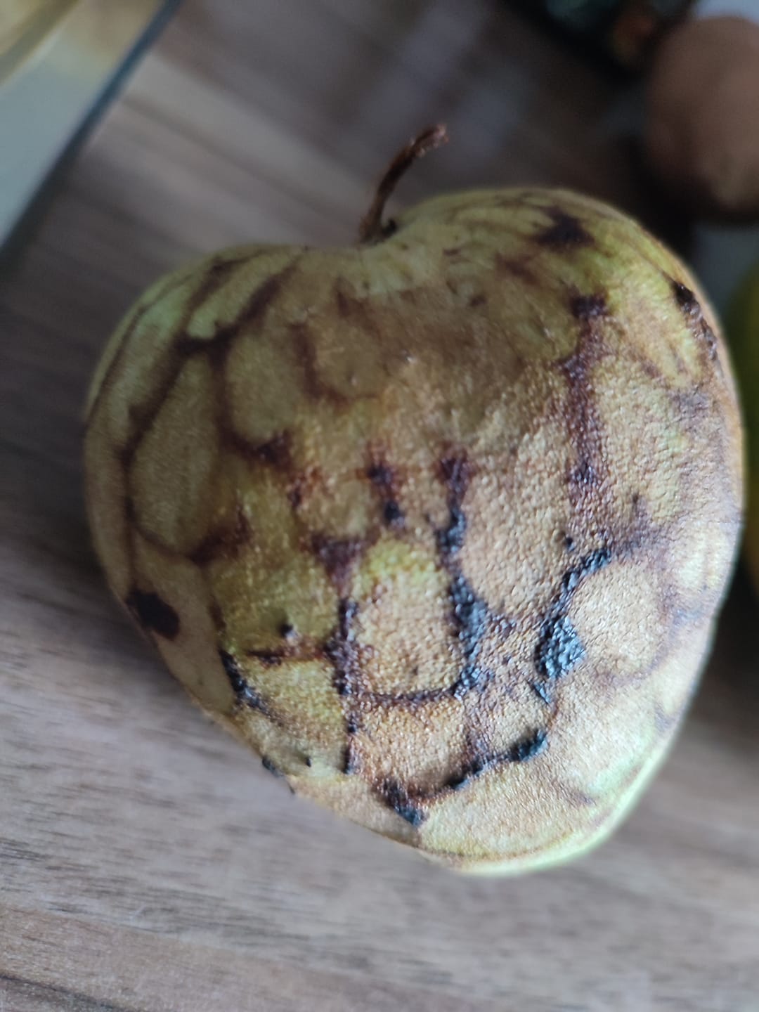 Customer photo review of Cherimoya von Julian