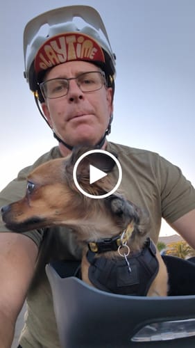 Customer video review of Kvisp Dog Bike Carrier