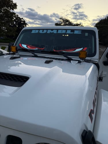 Customer photo review of LED Windshield Eyes - Transform Your Truck Into a Beast