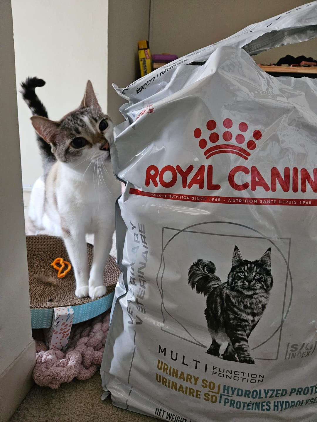 Customer photo review of Royal Canin Veterinary Diet - Urinary SO + Hydrolyzed Protein Dry Cat Food