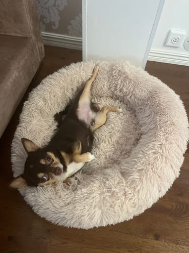 Customer photo review of CalmBed - Motverkar stress & hjälper mot ångest