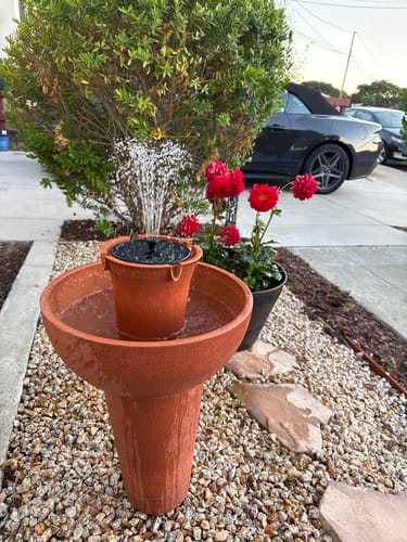 Customer photo review of Alba Cordless Fountain