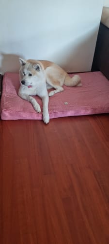 Customer photo review of Cover Materassino Cotone Premium Riga Larga Marrone