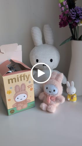 Customer video review of VIPO x Miffy Macaron Series Blind Box
