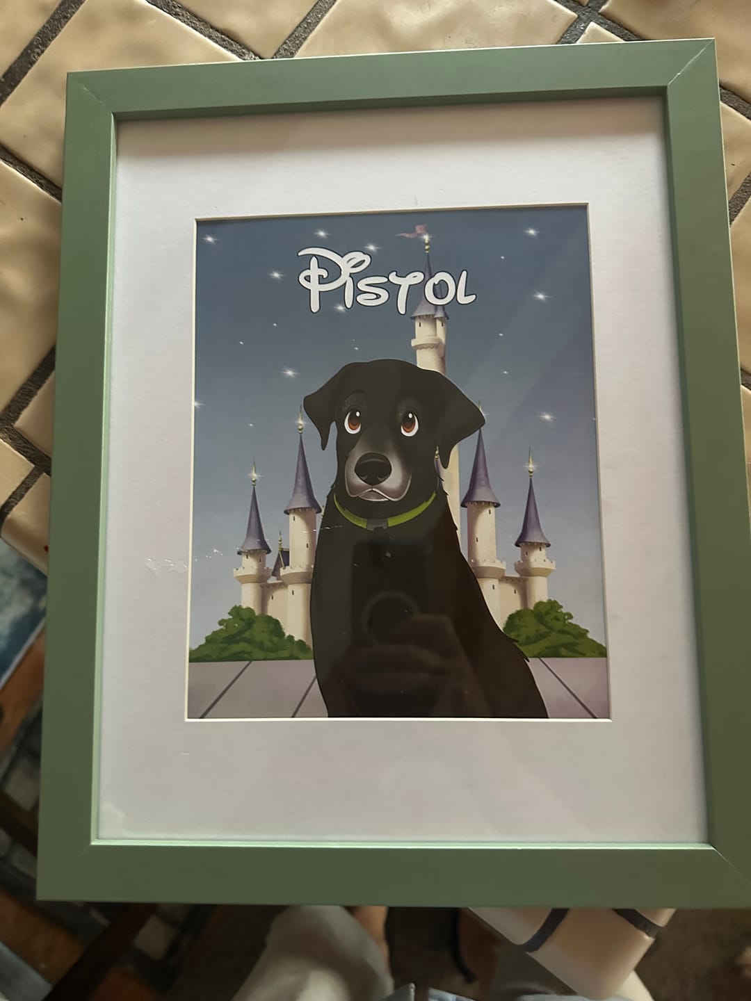 Customer photo review of Custom Hand-Drawn Cartoon Pet Portrait