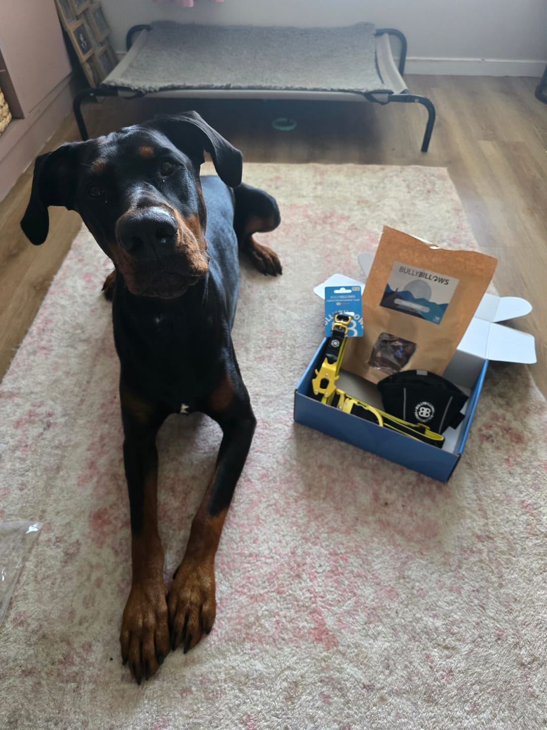 Customer photo review of Dog Treat Variety Bag - 10 Pieces