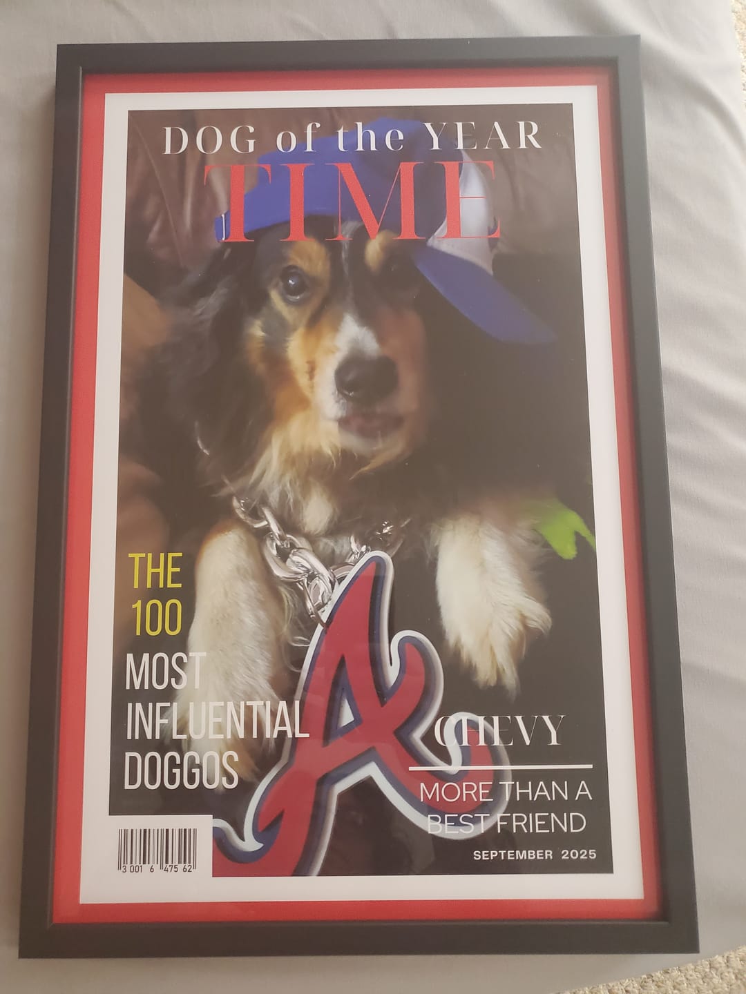 Customer photo review of Pet Portrait Magazine Cover