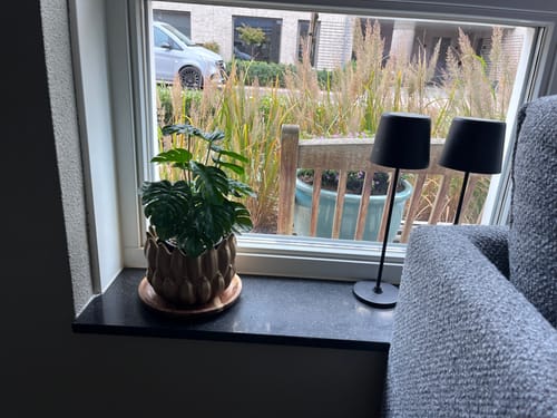 Customer photo review of Monstera Kunstplant 32cm