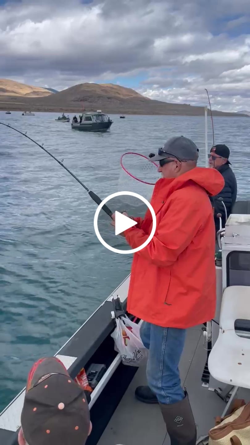 Customer video review of Moss Camo 300-2000 Yard Spools