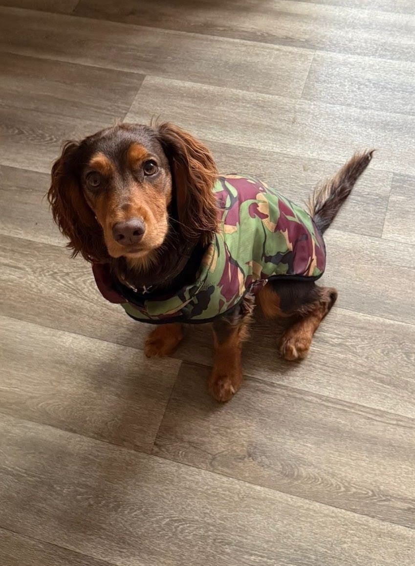 Customer photo review of Water Resistant Camouflage Ripstop Fabric