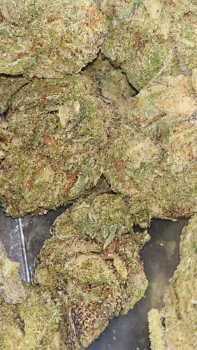 Customer photo review of OMNIA THCA Flower