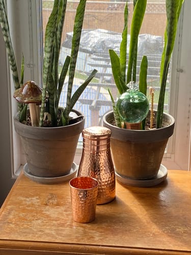 Customer photo review of Himalayan Ayurvedic Bedside Carafe