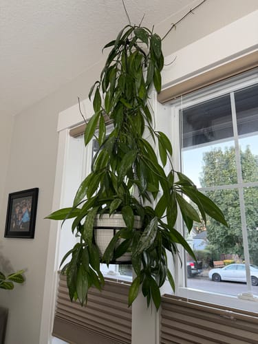 Debra H. review of Plant Food image 1 out of 4