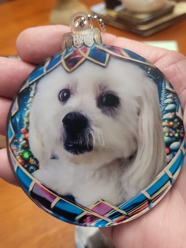 Customer photo review of Custom Photo Pets Make Our Lives Whole - Dog & Cat Personalized Ornament