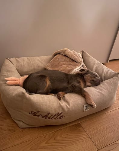 Customer photo review of Divanetto Mattias Beige (Soft Touch)