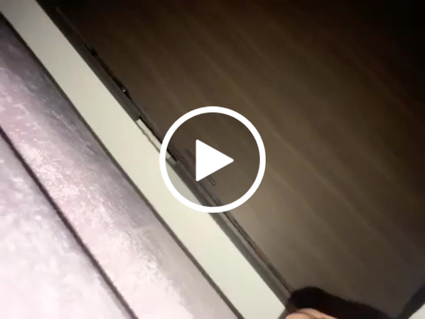 Customer video review of BORLA TRIANGULAR PARA POLVOS