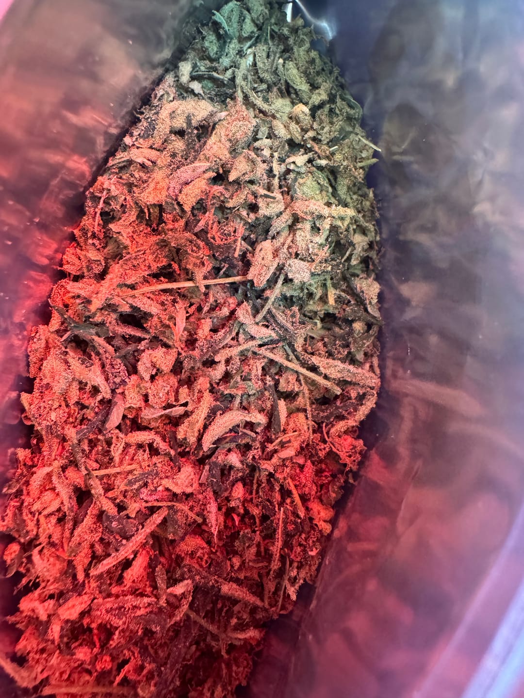 Customer photo review of Exotic Shake