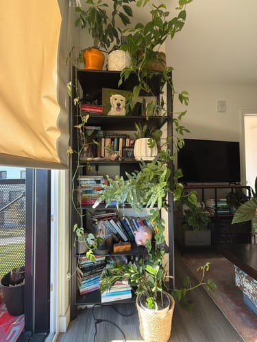 Shannon B. review of Plant Food image 1 out of 1