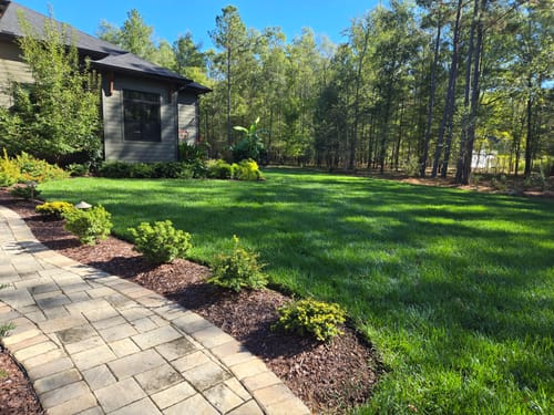Customer photo review of GCI Turf Type Tall fescue Grass Seed