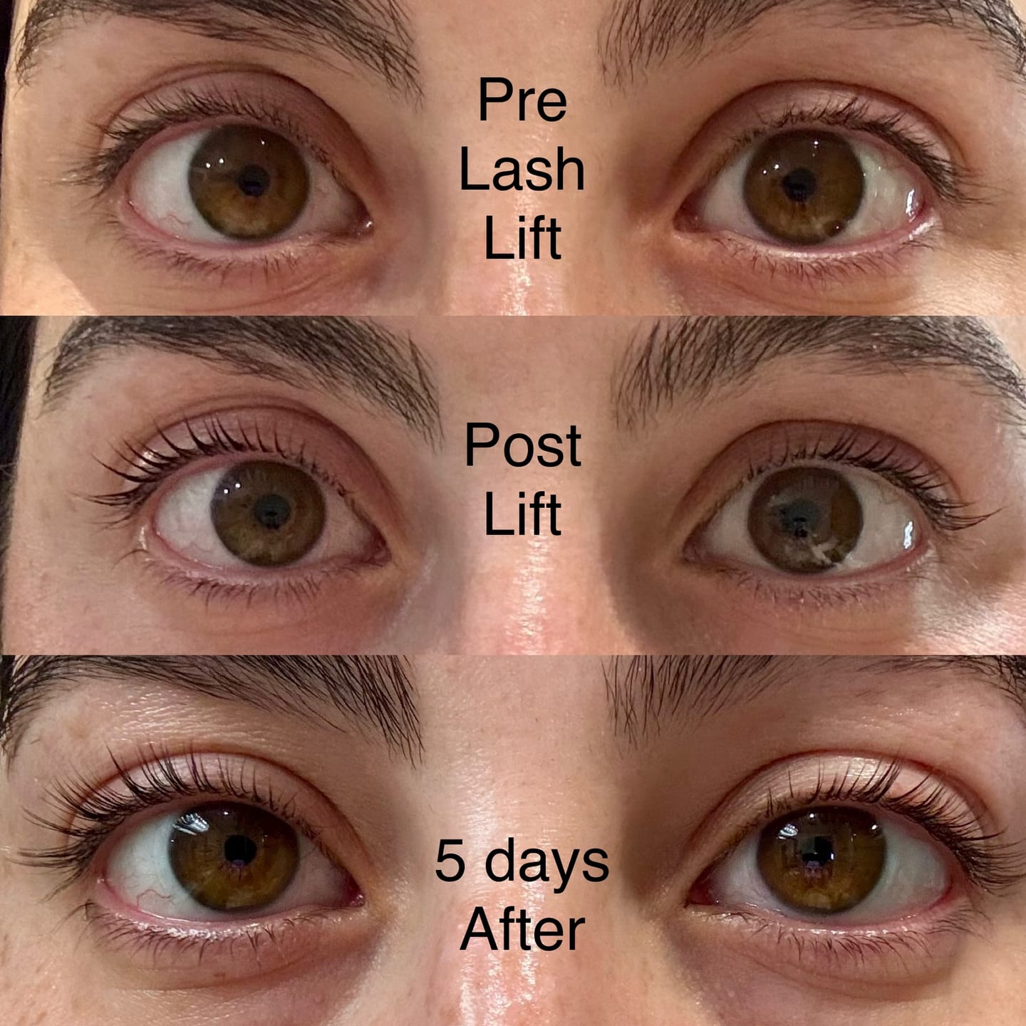Customer photo review of Lashlift Starter Set